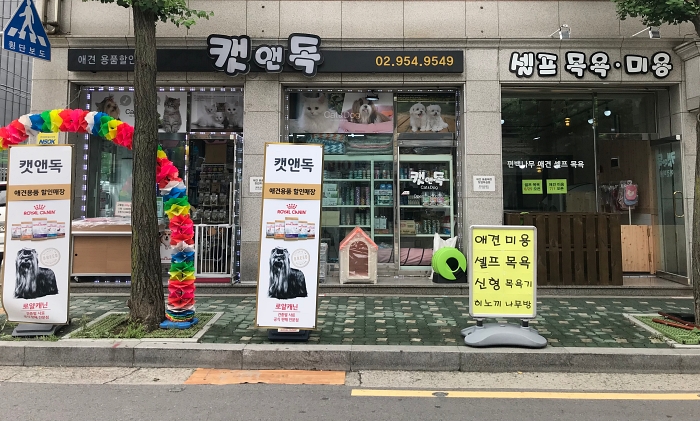 캣앤독