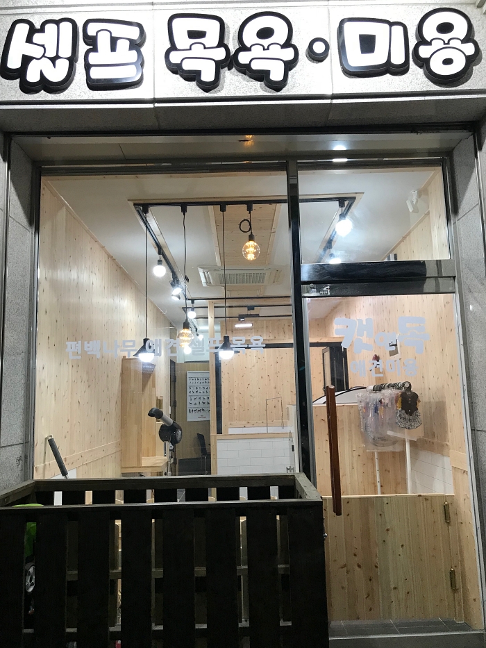 캣앤독