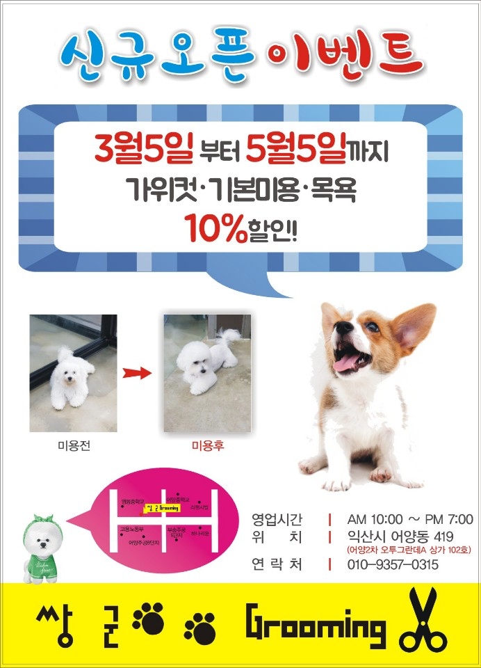 쌍군그루밍