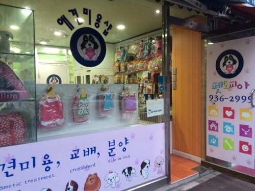 펫토피아 애견샵