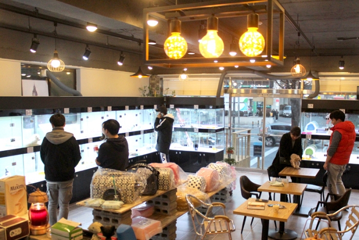 아담스펫 안양점