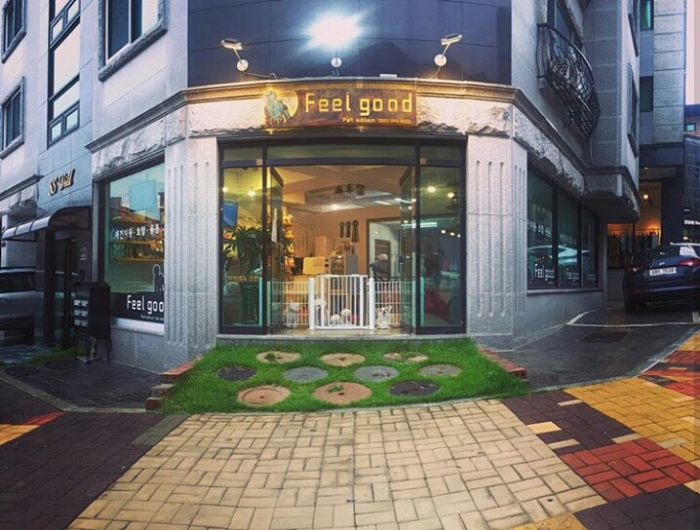 Feel good 애견미용