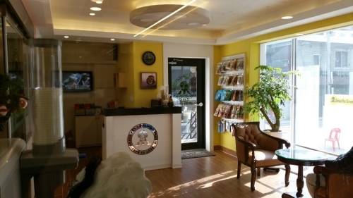 그레이스펫그루밍스튜디오