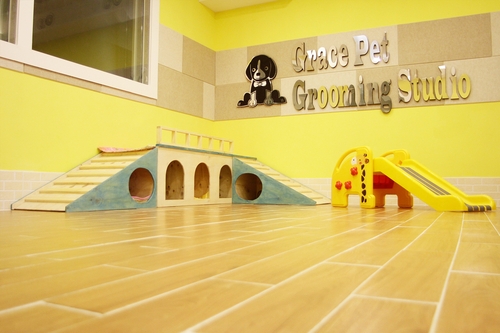 그레이스펫그루밍스튜디오