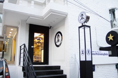 그레이스펫그루밍스튜디오