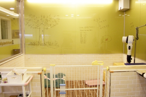 그레이스펫그루밍스튜디오