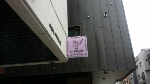 안나펫살롱