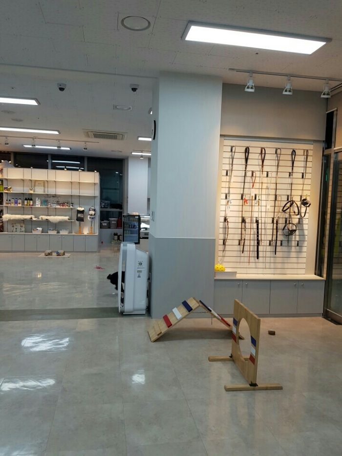 힐스독
