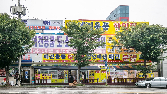애견용품 창고형 할인매장