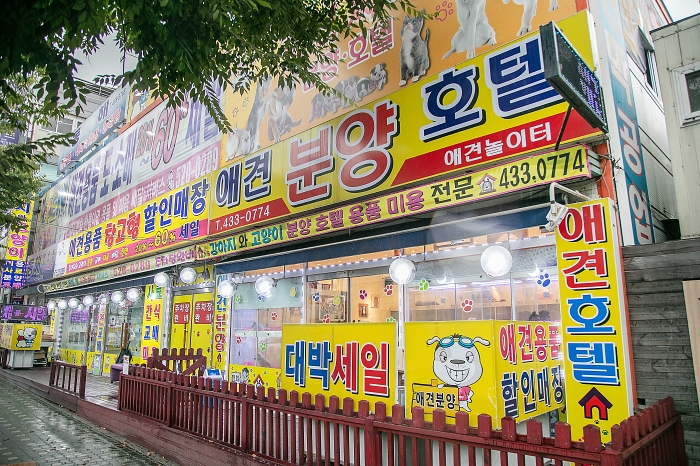 애견용품 창고형 할인매장