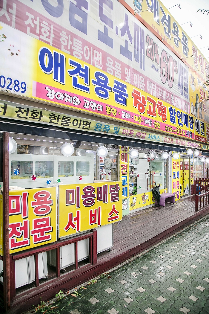 애견용품 창고형 할인매장
