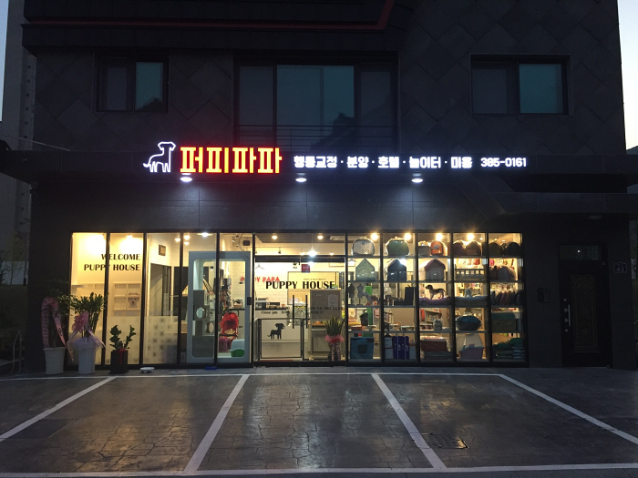 퍼피파파