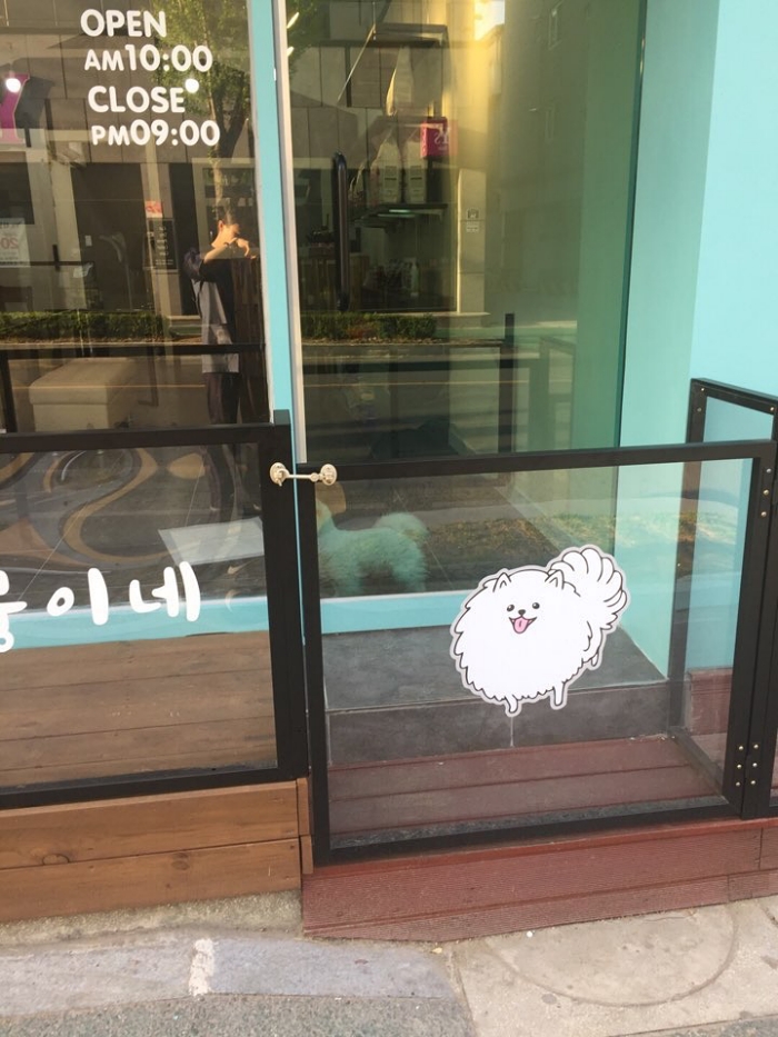 멍뭉이네