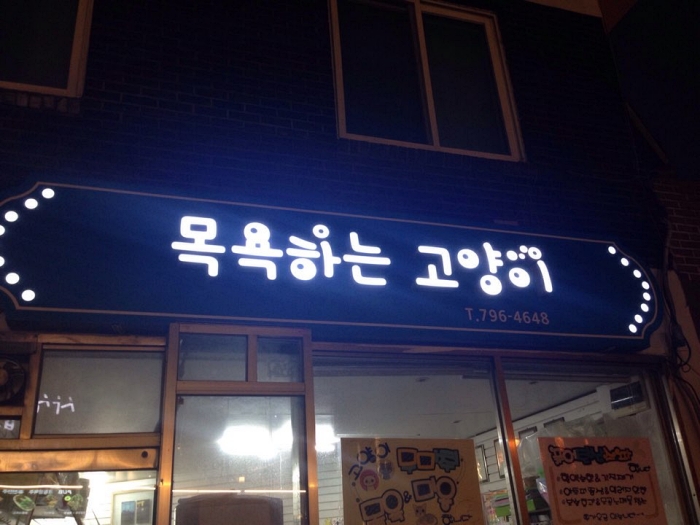 목욕하는고양이