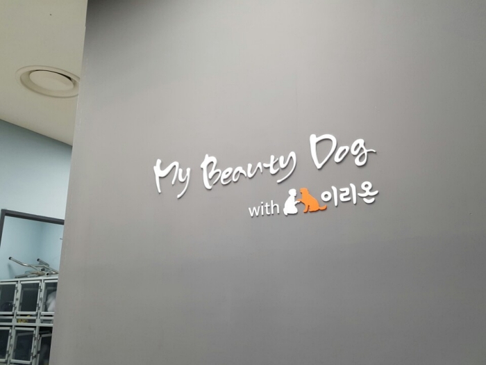 마이뷰티독