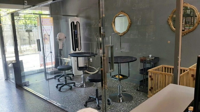 블랑쉬펫