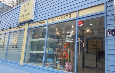 파주강아지