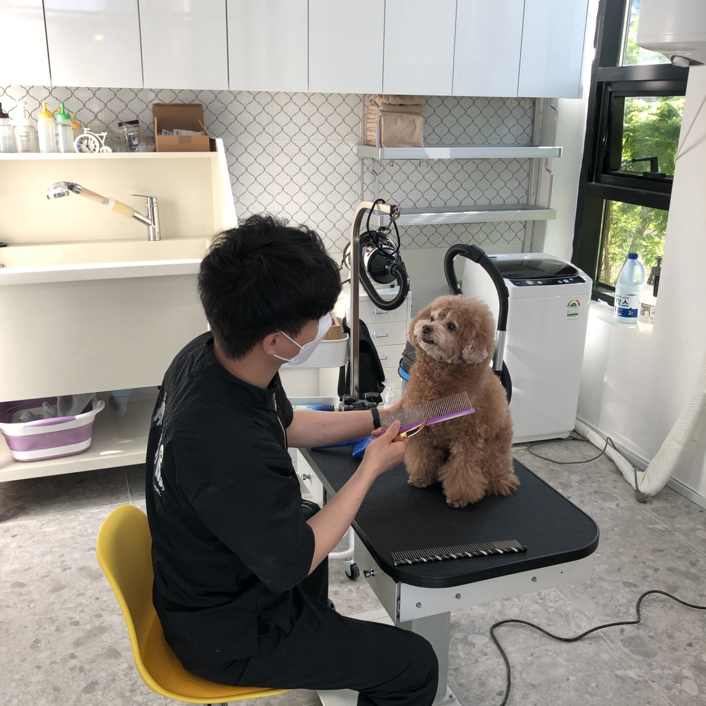 펫 살롱 파밀리에