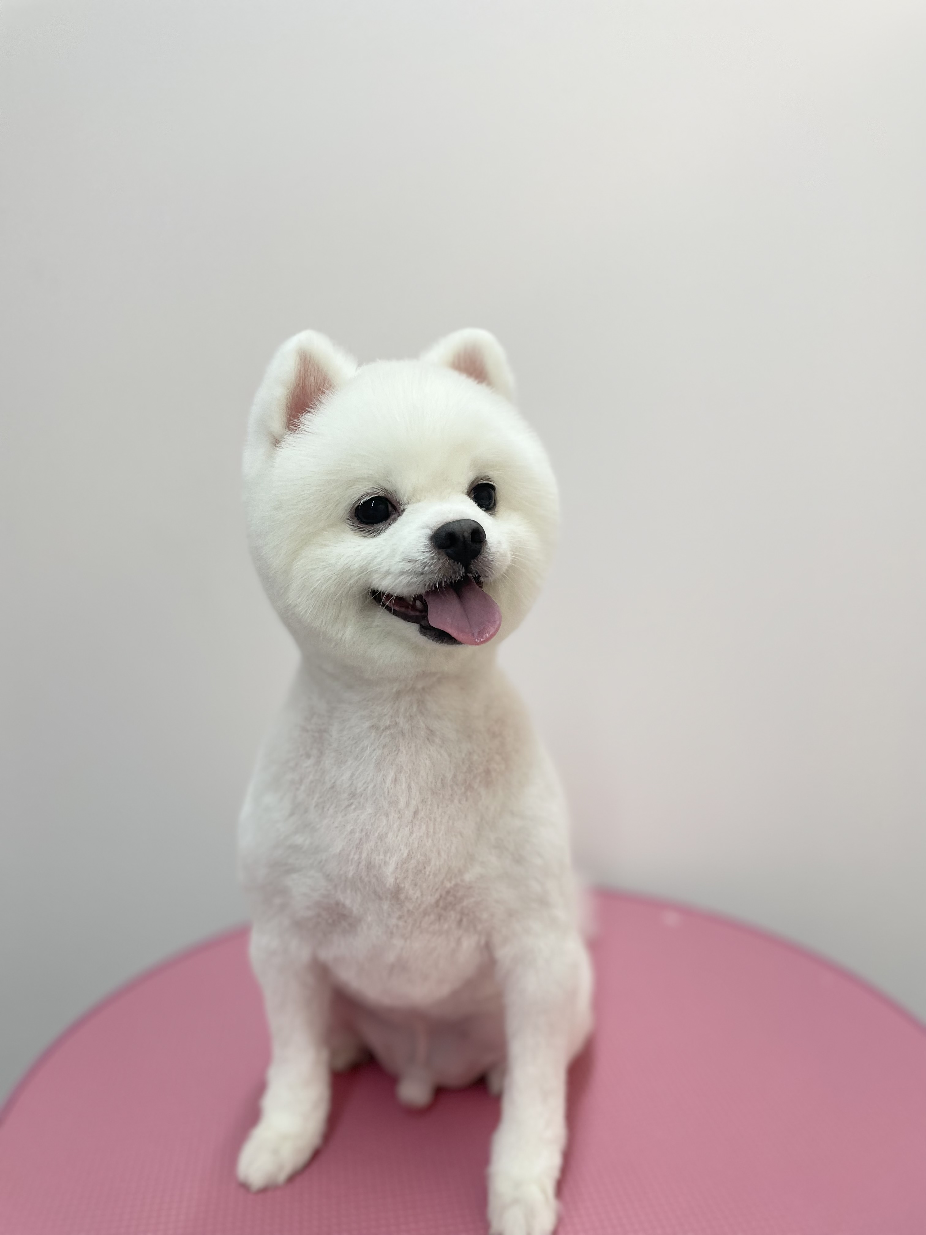 몽블리스