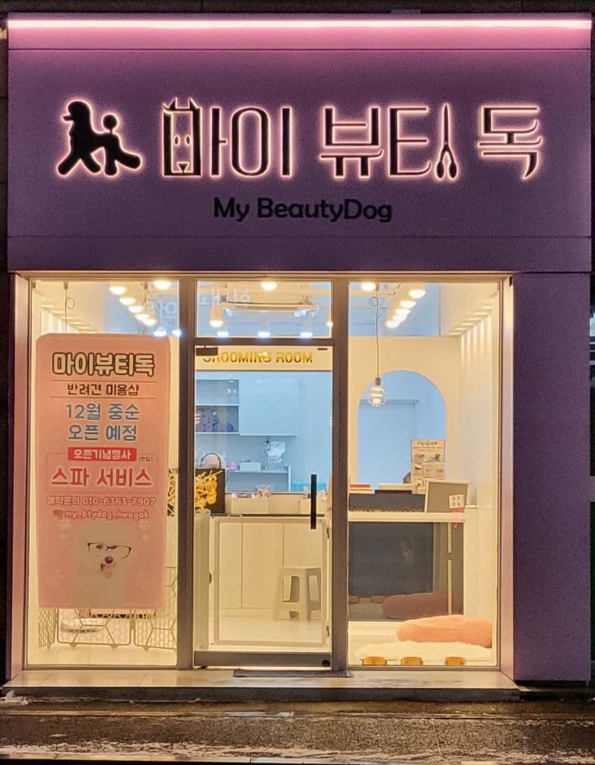 마이뷰티독