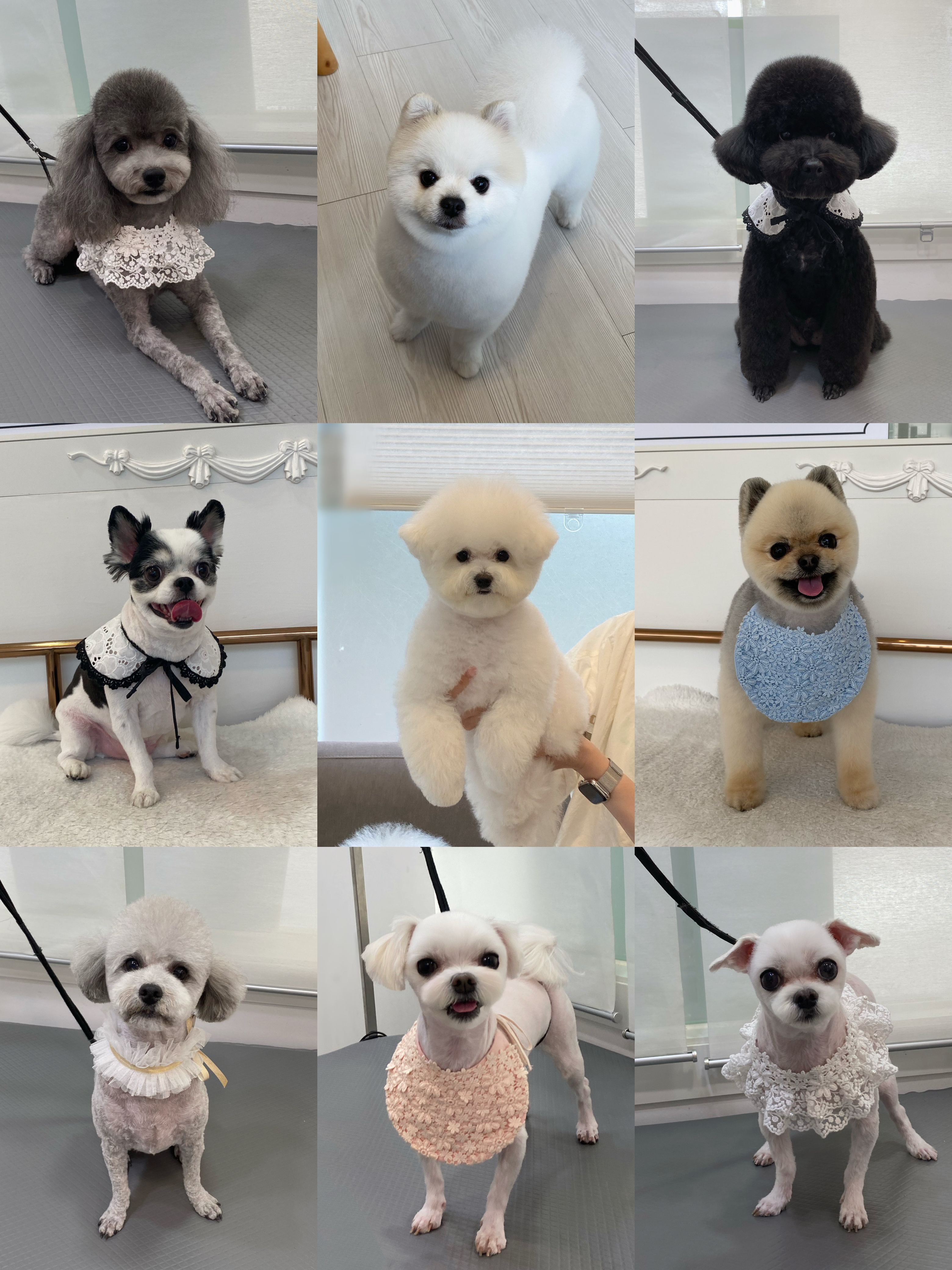 멍블랑 Grooming